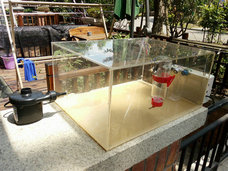 ABUIABACGAAgs86RywUo6KaB0gIw5AE4qwE